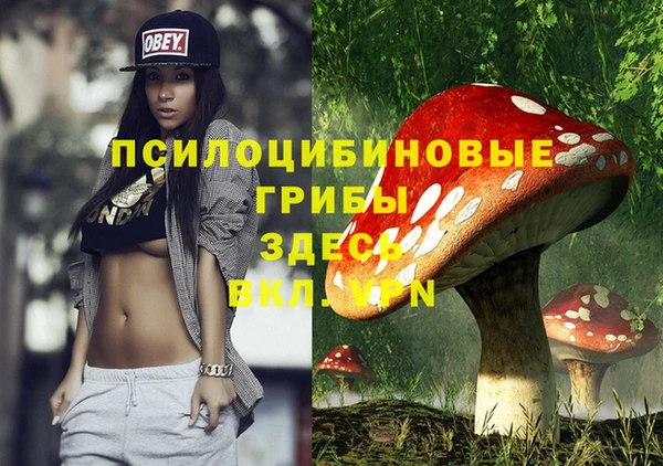 бошки Богородицк