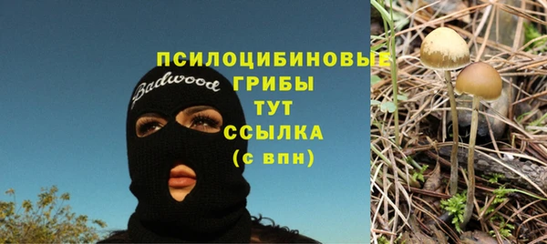 тгк Покровск