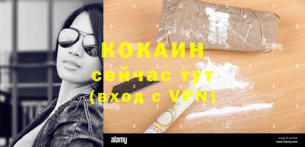 спайс Богданович