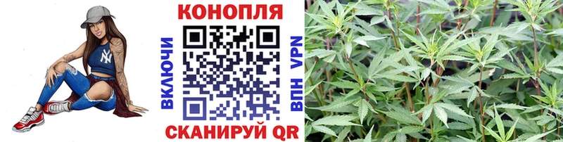 Марихуана OG Kush  купить наркотики сайты  Шилка 